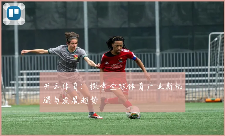 开云体育：探索全球体育产业新机遇与发展趋势