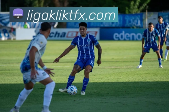 开云官网平台生态图